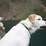 Appartamento Ithaque